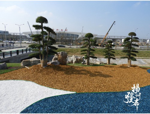 武汉市城市绿化条例第三十七条