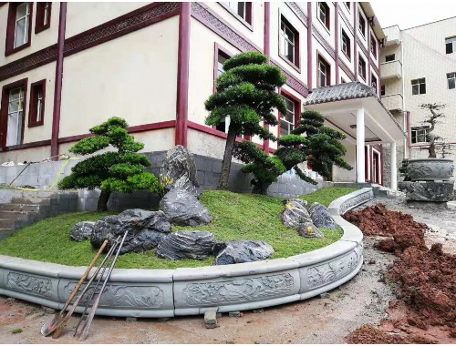 丹江口全国最大绿化树苗批发市场是哪里