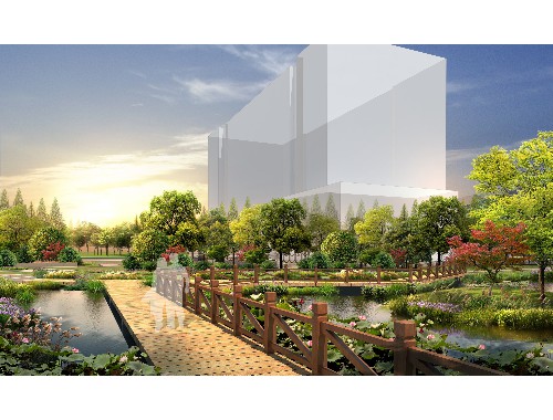 新闻采访关于城市绿化