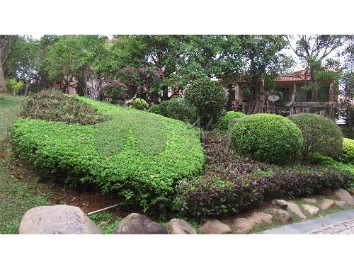 园林绿化工程最新规范