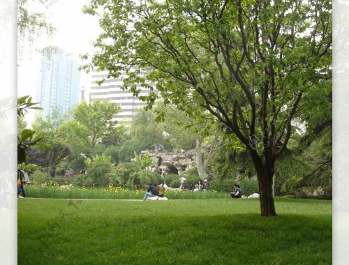 宣威市植造园林绿化工程部