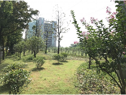 鑫昱绿化工程有限公司