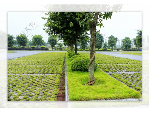 小区绿化工程成功案例分析