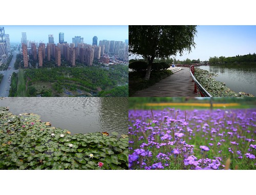 永城市绿化带管理条例